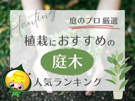 植栽 種類|植栽におすすめの庭木 人気ランキング【庭のプロ厳選】